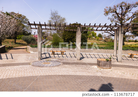 A view from the park 113678717
