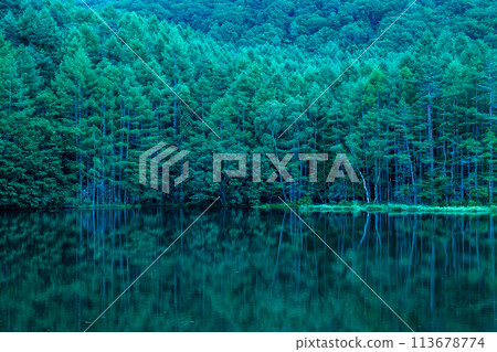 Mishakaike Pond that echoes green 113678774