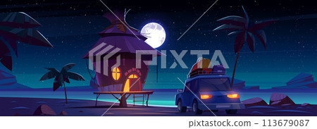Car travel to beach house for vacation at night 113679087