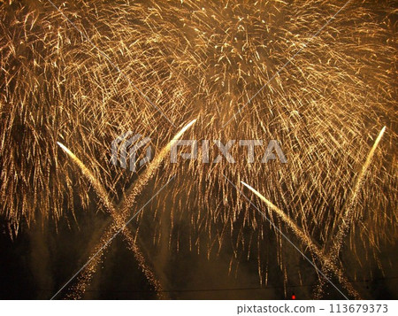 Fireworks dancing in the night sky Fireworks dancing in the night sky 113679373