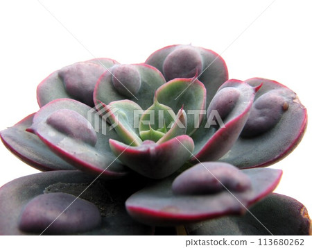 雨點 雨點 113680262