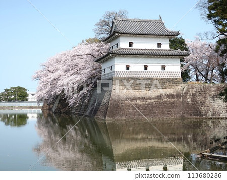 Spring of Shibata castle Spring of Shibata castle 113680286