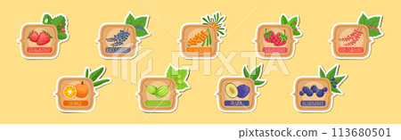Fruit Ripe and Juicy Sticker and Label Vector Set 113680501