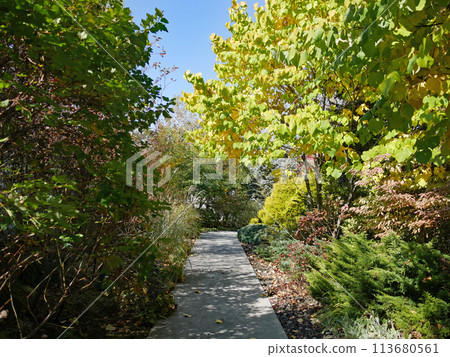 Path to Hiroshi Senju Museum of Art, Karuizawa 113680561