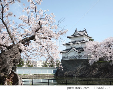 Spring of Shibata castle 113681298
