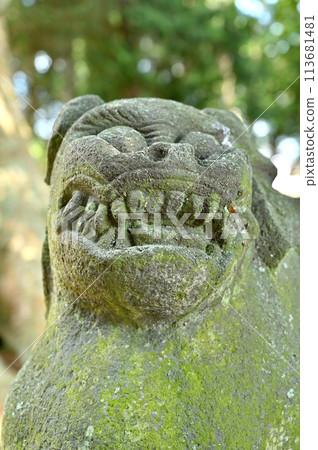 神社與寺廟, 藤岡神社, 藤岡神社遺址, 栃木市藤岡町 113681481