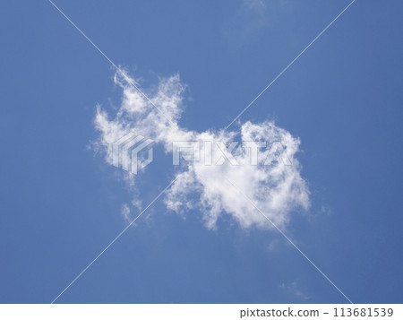 One cloud over the blue sky 113681539