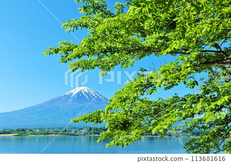 Early summer blue sky and fresh green scenery, and Mt. Fuji Early summer blue sky and fresh green scenery, and Mt. Fuji 113681616