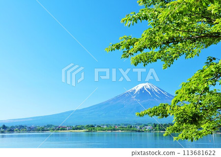 Early summer blue sky and fresh green scenery, and Mt. Fuji Early summer blue sky and fresh green scenery, and Mt. Fuji 113681622