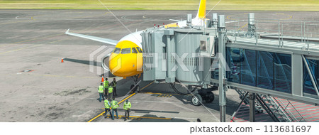 Preparation of a passenger aircraft by ground services at the airport. 113681697