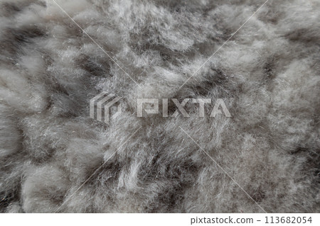 The texture of the lamb's fur is in light colors with spots. Background. 113682054