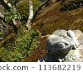 Moss and frog stone statue 113682219