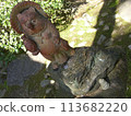 Shrine of Shigaraki ware 113682220