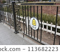 Korean Signs 113682223