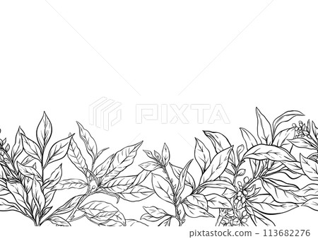 Branch with leaves of green tea. Branch with leaves of green tea. 113682276