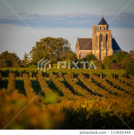 France, Charente-Martime, Lonzac Church,in Cognac Vineyards, Petite Champagne France, Charente-Martime, Lonzac Church,in Cognac Vineyards, Petite Champagne 113682440