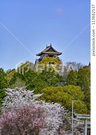 國寶犬山城 113682537