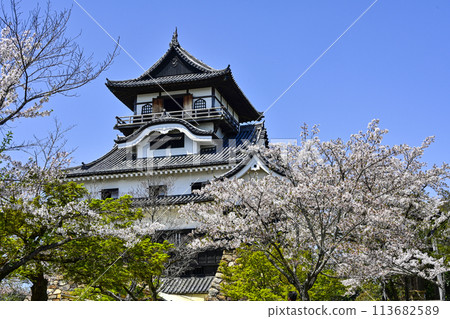 National treasure Inuyama Castle 113682589
