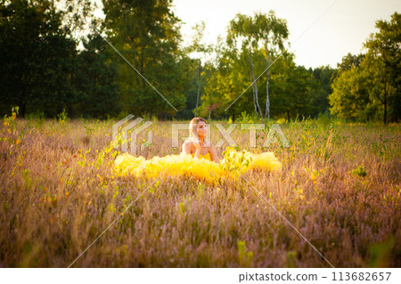 Woman in a Dreamy Yellow Dress Amidst a Sunlit Field 113682657