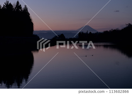 An irrigation pond and Mt. Fuji just before dawn, with waterfowl swimming in the pond An irrigation pond and Mt. Fuji just before dawn, with waterfowl swimming in the pond 113682866