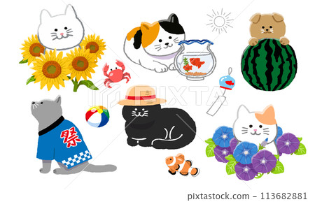 Summer cat illustration set Summer cat illustration set 113682881