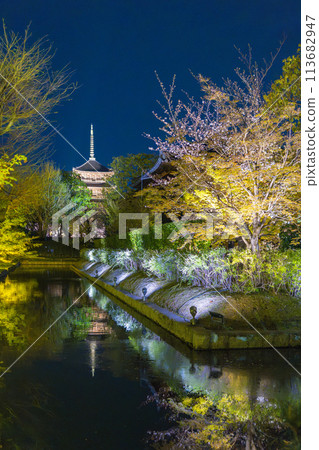 東寺夜櫻點燈倒影 東寺夜櫻點燈倒影 113682947