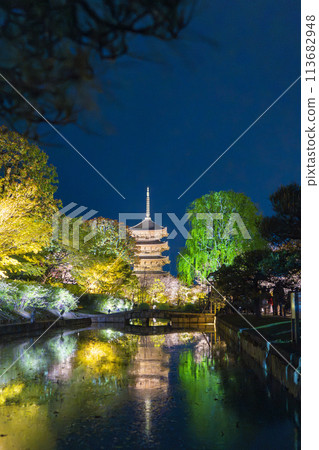 東寺夜櫻點燈倒影 113682948