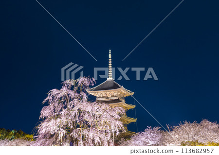 東寺、夜櫻、五層寶塔、富士櫻花盛開 113682957