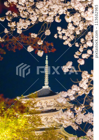 Spring in Kyoto: Toji Temple Illuminated Cherry Blossoms at Night Spring in Kyoto: Toji Temple Illuminated Cherry Blossoms at Night 113682965