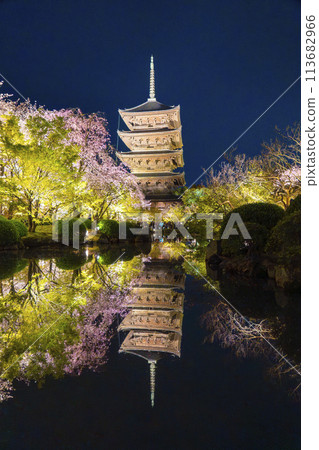 春天的京都，東寺，夜晚的櫻花 113682966