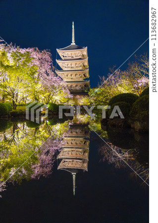 Spring in Kyoto: Toji Temple Illuminated Cherry Blossoms at Night 113682967