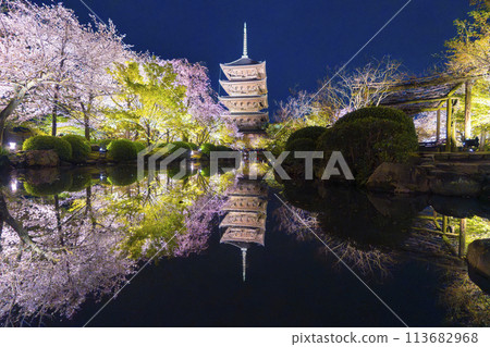 春天的京都，東寺，夜晚的櫻花 113682968