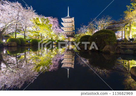 春天的京都，東寺，夜晚的櫻花 113682969