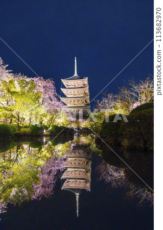 Spring in Kyoto: Toji Temple Illuminated Cherry Blossoms at Night Spring in Kyoto: Toji Temple Illuminated Cherry Blossoms at Night 113682970