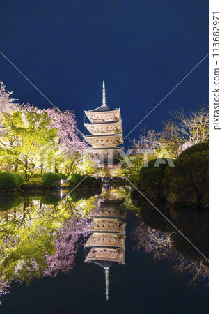 Spring in Kyoto: Toji Temple Illuminated Cherry Blossoms at Night Spring in Kyoto: Toji Temple Illuminated Cherry Blossoms at Night 113682971