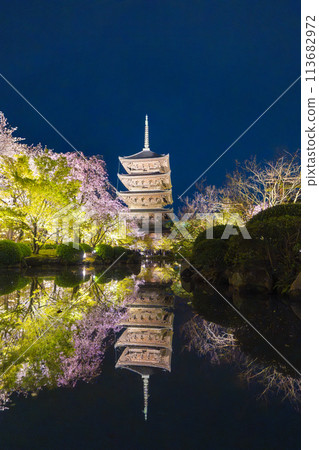 Spring in Kyoto: Toji Temple Illuminated Cherry Blossoms at Night Spring in Kyoto: Toji Temple Illuminated Cherry Blossoms at Night 113682972