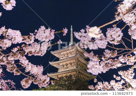 東寺，夜晚的櫻花燈火通明，五層寶塔和櫻花盛開 113682973