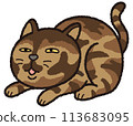 A round, toy-like cat sitting 113683095