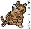 A tortoiseshell cat is dozing off with its nose sticking out. 113683096