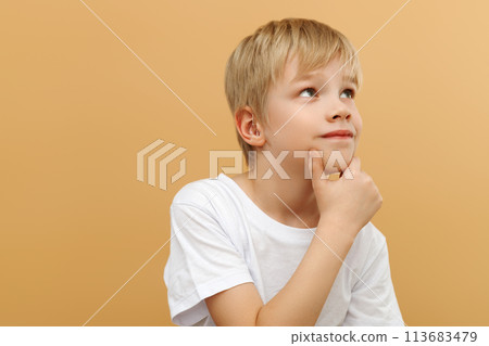 Blonde boy . Let me think . Thoughtful clever 113683479