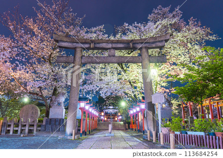 Kyoto Rokusonno Shrine Cherry blossoms in full bloom at night Kyoto Rokusonno Shrine Cherry blossoms in full bloom at night 113684254