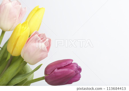 Spring flowers. A bouquet of tulips of different colors on a white background. Spring flowers. A bouquet of tulips of different colors on a white background. 113684413