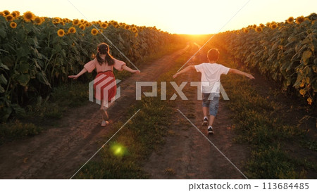 Boy and girl kids running on road at sunflower field flying plane imagine sunset light back view. Children family sister and brother playing fantasy imagination aircraft flight enjoy happy childhood 113684485