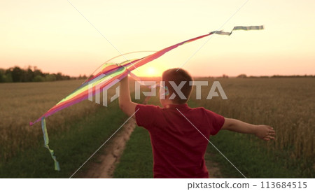 child kid boy runs joyfully, controlling flying kite whose ribbons flutter sunset, child kid holds bright sunset kite hands, moment childhood happily runs away launching dream into sky, child kid runs child kid boy runs joyfully, controlling flying kite whose ribbons flutter sunset, child kid holds bright sunset kite hands, moment childhood happily runs away launching dream into sky, child kid runs 113684515