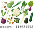 Vegetable illustration set 4 113684558