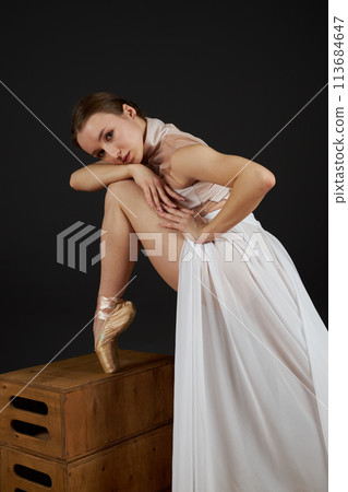 Ballerina in a dress 113684647
