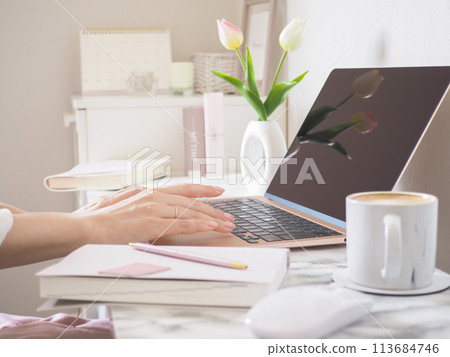 The hands of a woman using a laptop in a room with a cute, feminine interior The hands of a woman using a laptop in a room with a cute, feminine interior 113684746