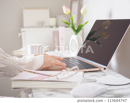 The hands of a woman using a laptop in a room with a cute, feminine interior The hands of a woman using a laptop in a room with a cute, feminine interior 113684747
