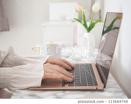 The hands of a woman using a laptop in a room with a cute, feminine interior The hands of a woman using a laptop in a room with a cute, feminine interior 113684748