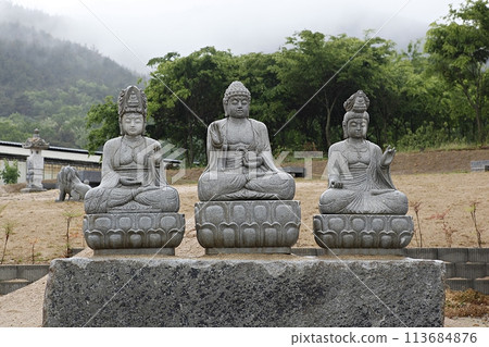 buddha statue in the temple buddha statue in the temple 113684876